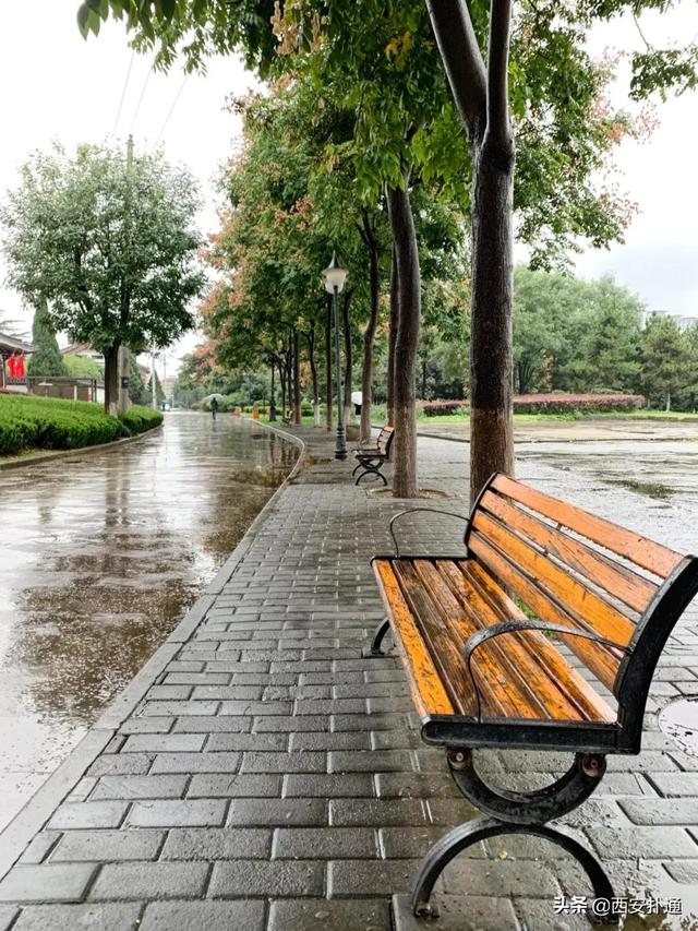 一场雨，让青龙寺变成了另一番模样