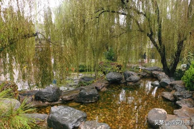 一场雨，让青龙寺变成了另一番模样