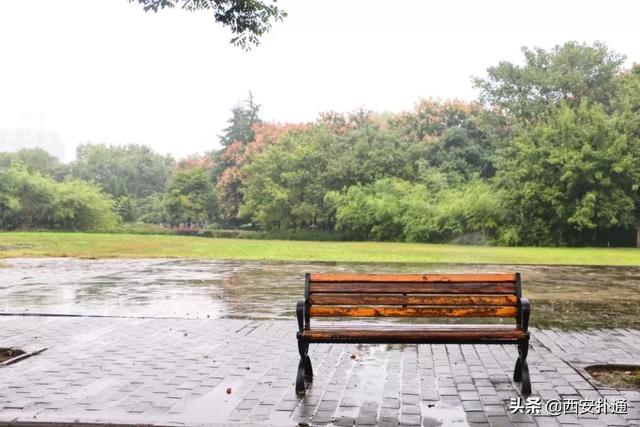 一场雨，让青龙寺变成了另一番模样