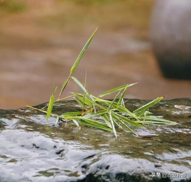 一场雨，让青龙寺变成了另一番模样