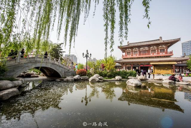 西安青龙寺，中国十大赏樱胜地之一，春天梦幻唯美还免费开放