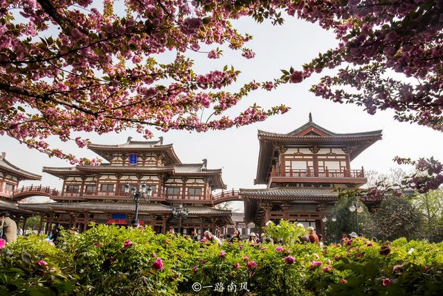 西安青龙寺，中国十大赏樱胜地之一，春天梦幻唯美还免费开放