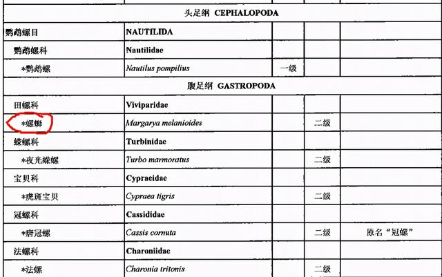 钓鱼用的螺蛳，和国家保护的螺蛳，到底是不是一种东西