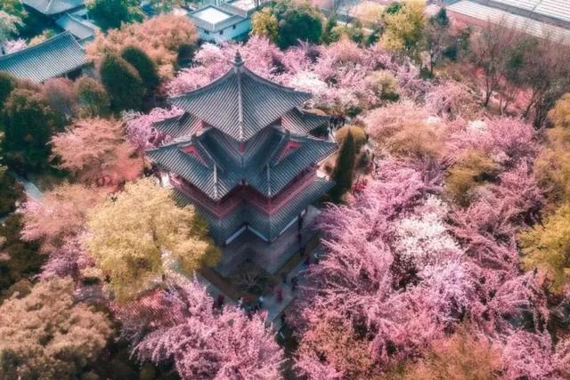 青龙寺一个风景秀丽的“景区”