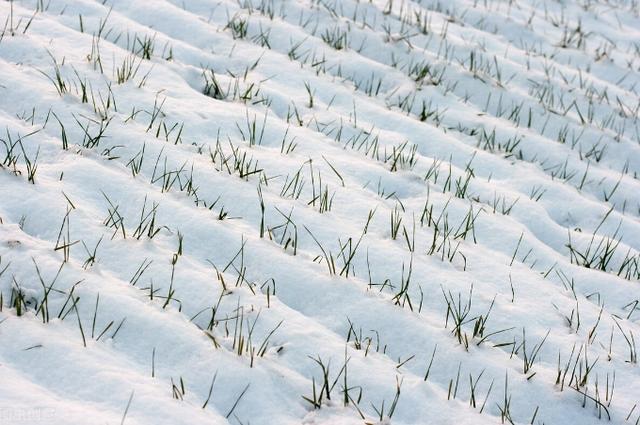 今年天气出现罕见“雷打冬”，冬天打雷寓意着什么？