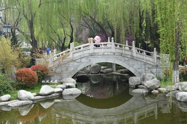 白如雪，飘若练，春天去西安青龙寺寻觅都市樱花的炫目之美