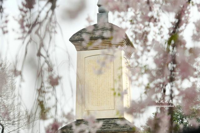 白如雪，飘若练，春天去西安青龙寺寻觅都市樱花的炫目之美