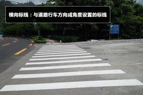 教你认道路交通标志线