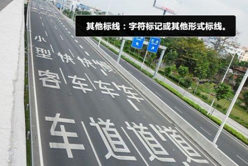 教你认道路交通标志线