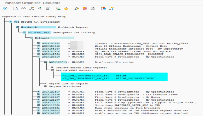 动手开发一个有用的 ABAP ALV 工具 - 查看指定用户的 ABAP 传输请求试读版