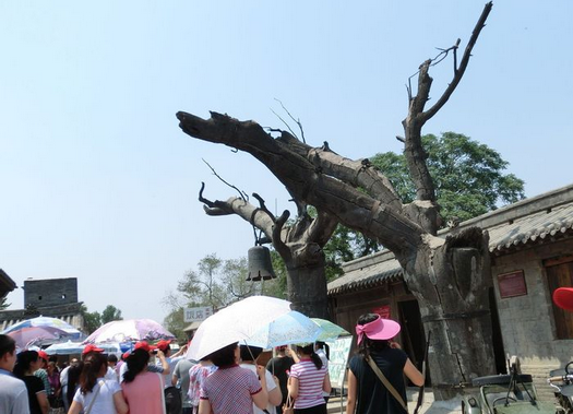 挖地道打鬼子——地道战遗址