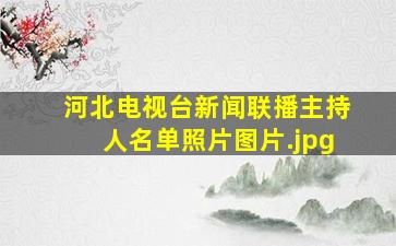 河北电视台新闻联播主持人名单照片图片