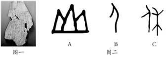 河姆渡原始居民典型特征_河姆渡原始居民_原始居民河姆渡人的状况有哪些