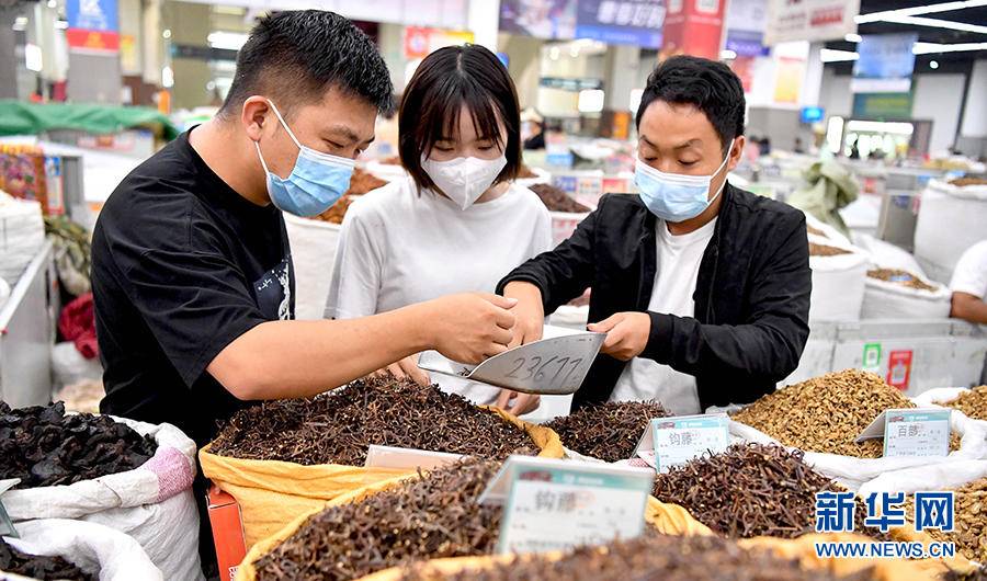 药材价格波动_种药材赚钱吗_药材上涨