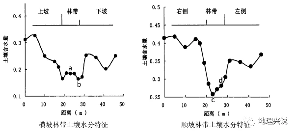 森林上空_森林空旷_森林怎么在空中行走