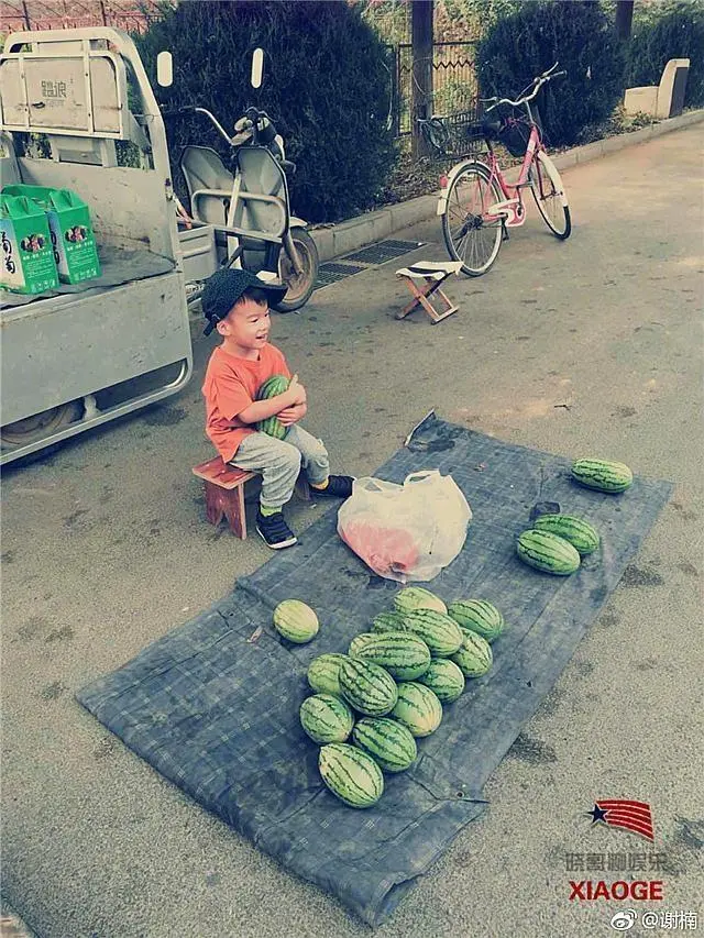 谢楠采访吴京吴京挑衅_吴京电影全集下载_吴京