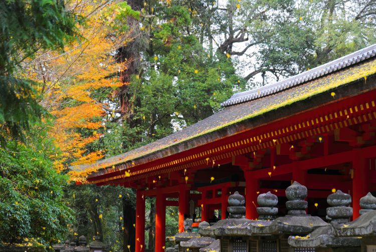 春日祭_梦次元春日祭m21_2018梦次元春日祭