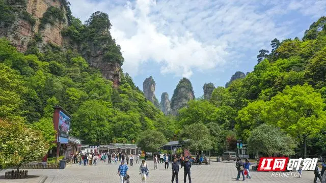 张家界为什么叫张家界_张家界机场到张家界景区_张家界