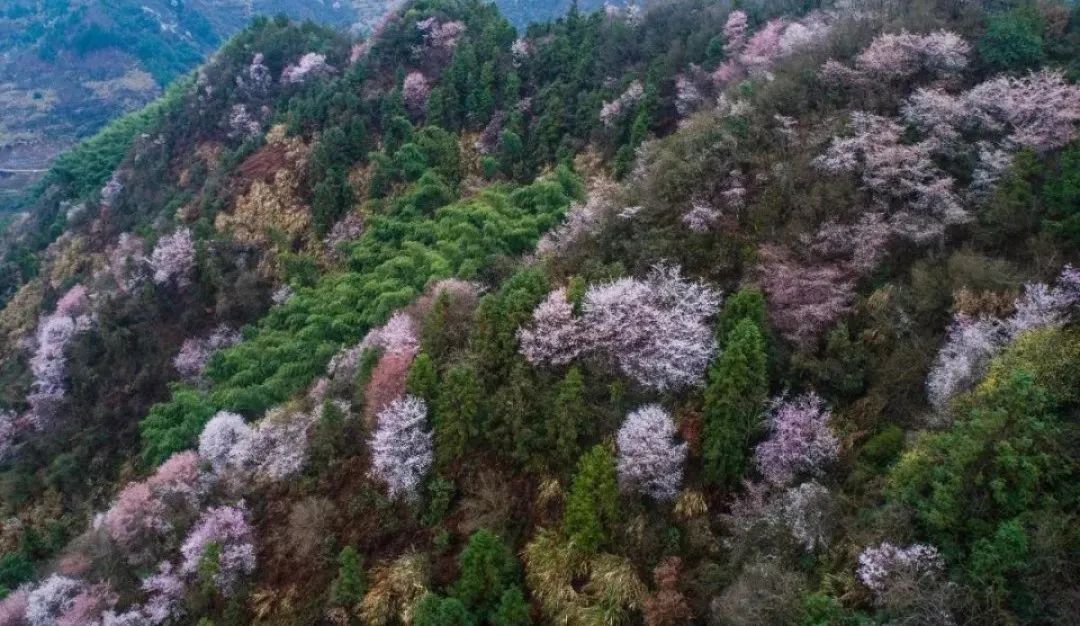 郑州动物园门票价格_郑州绿博园门票预订_郑州绿博园黄牛门票