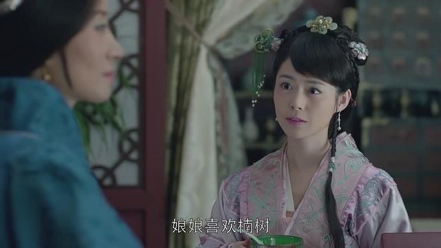 琅琊榜太子妃_琅琊榜里太子妃是伏笔_琅琊榜太子妃的扮演者