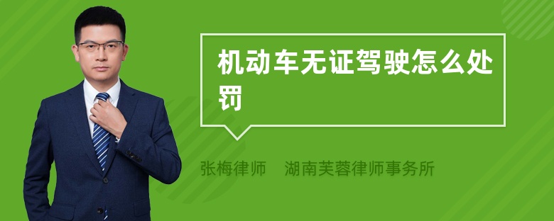 交通之声微信号_城市轨道交通与信号_交通信号灯包括