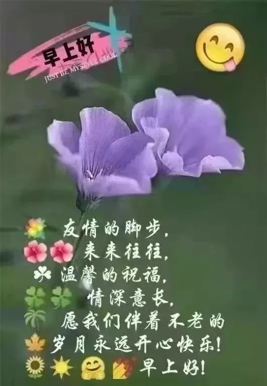 马年搞笑祝福短信_每天祝福朋友的祝福短信_冬天祝福短信