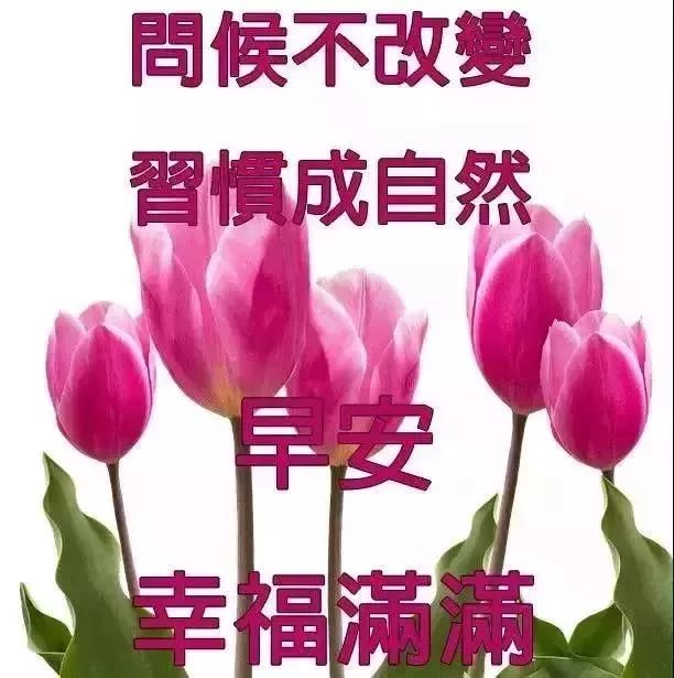 马年搞笑祝福短信_冬天祝福短信_每天祝福朋友的祝福短信