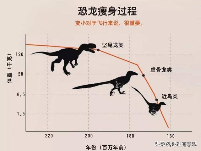 鸟的祖先图片:为什么有些大型恐龙，不能演化成鸟类？ 鸟的祖先是谁