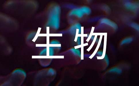 海洋生物作文400字