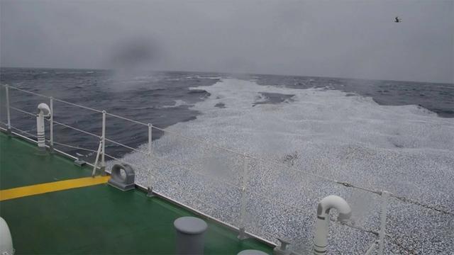 夏威夷海啸_夏威夷海啸是什么电影_夏威夷群岛海啸