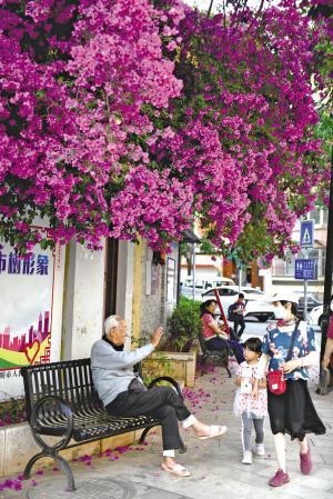 昆明到北京华东5市旅游报价_昆明官渡市哪儿有屈臣氏_昆明市花