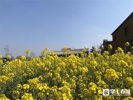 昆明市花_昆明花之城白沙玉市_昆明市花园市餐厅