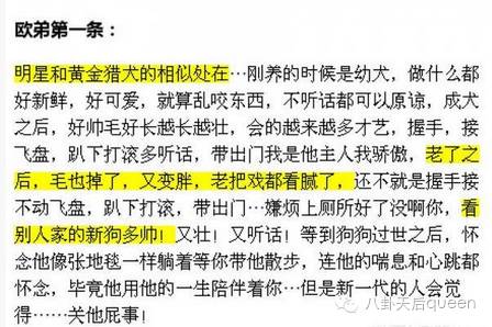 欧弟微博_欧弟 天天向上 打马赛克 欧弟自己的看法_欧弟经纪人