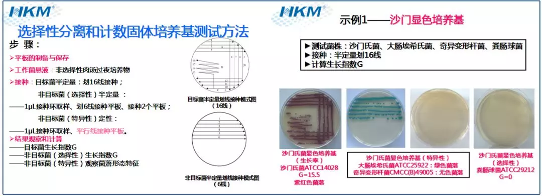 酵母菌培养_似酵母样菌_白带酵母样菌检出是什么意思