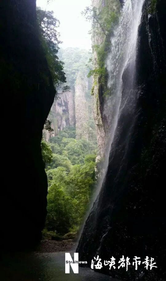 老梗也是梗系列_火梗和猎梗有什么区别_爬山梗