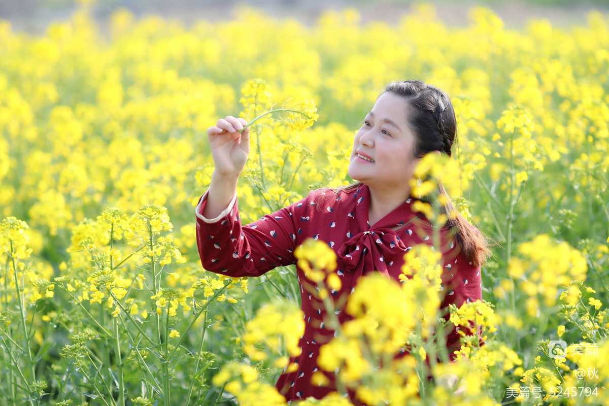 徐志摩《陌上花开》原文_徐志摩 陌上花开 原文_徐志摩《陌上花开》