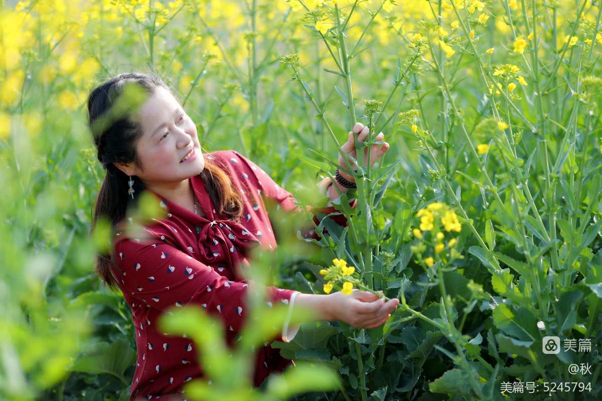 徐志摩 陌上花开 原文_徐志摩的散文陌上花开赏析_陌上花开徐志摩原文