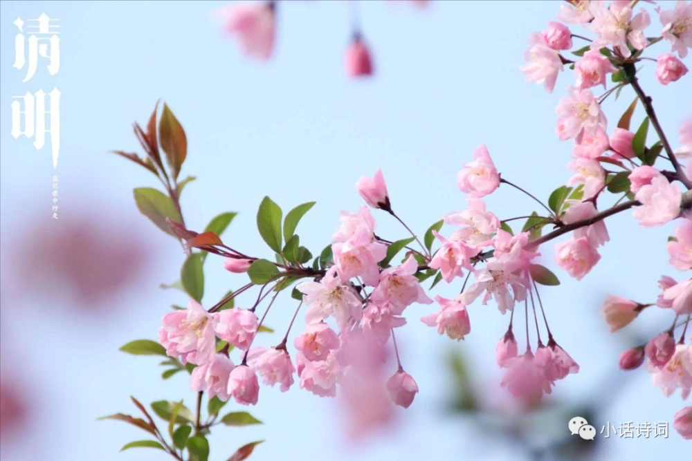 清明节放风筝有何深意_清明节放风筝_清明节放风筝有什么寓意