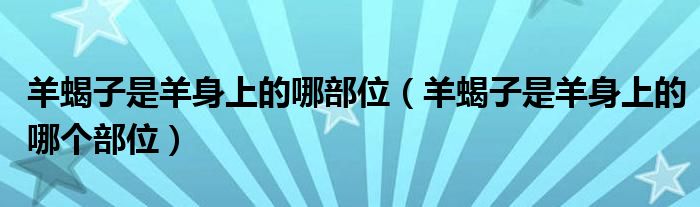 羊腩肉是羊的哪个部位_羊蝎子是羊身上的哪个部位_羊身上哪个部位适合烧烤