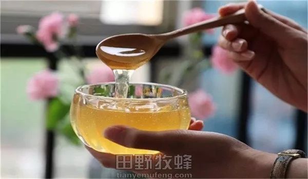 土蜂蜜的功效和作用土蜂蜜价格_巴东土蜂蜜价格_蜂蜜价格