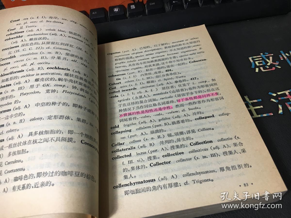 拉丁文的名字_拉丁文中好听的名字_拉丁文名字