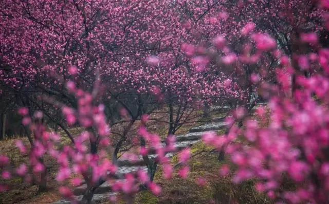 湖广高铁_湖广高铁运营商_湖广填四川 汉源