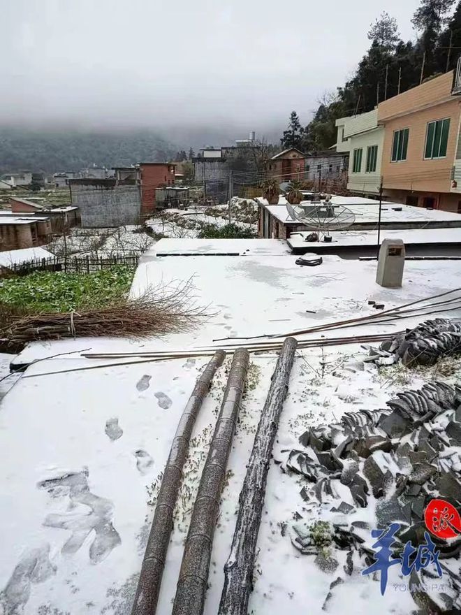 广州下雪记录_广州下雪必出大事_广州下雪视频