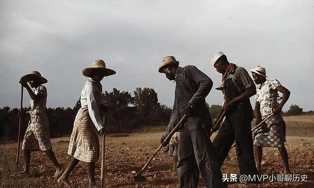 林肯是黑人吗_林肯黑人血统_林肯黑人白人