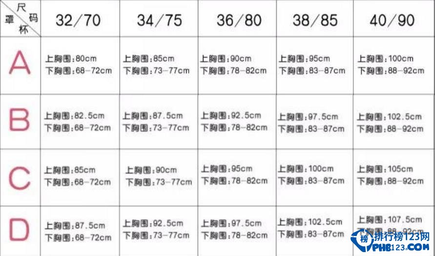 胸围换算_胸围换算_胸围罩杯换算