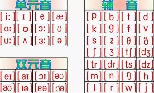 英语元音辅音发音_英语元音辅音_英语元音和辅音