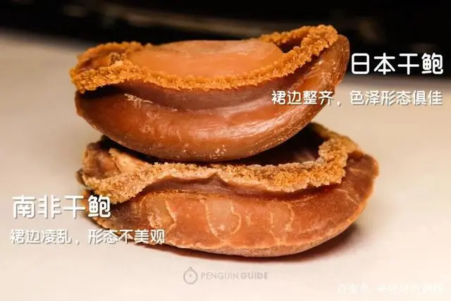 鲍鱼仔是什么鲍鱼_鲜活九孔鲍鱼鲍鱼价格_鲍鱼多少钱