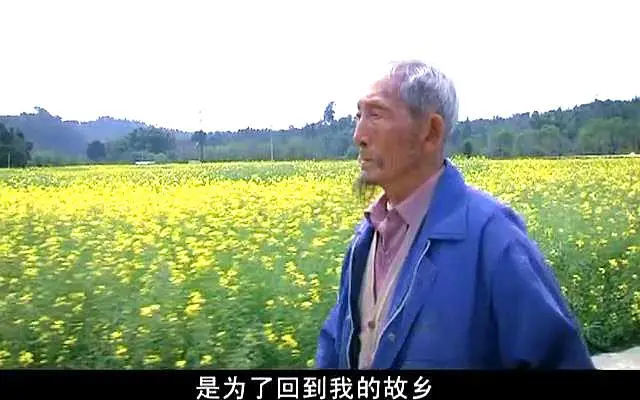 金婚的大结局_金婚大结局_金婚中大庄