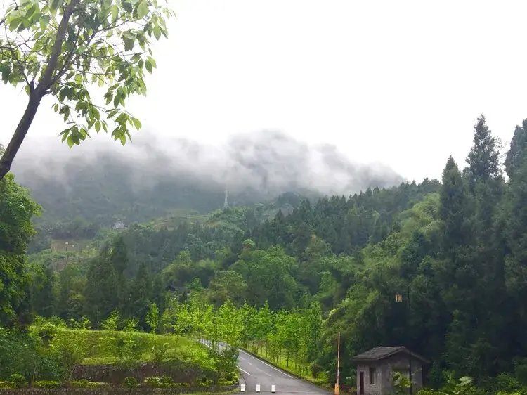 重庆周边有什么景区可以玩_重庆周边的旅游景区_重庆周边有什么好玩的地方和景区