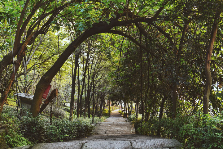 重庆周边有什么好玩的地方和景区_重庆周边好玩的景区_重庆周边的旅游景区